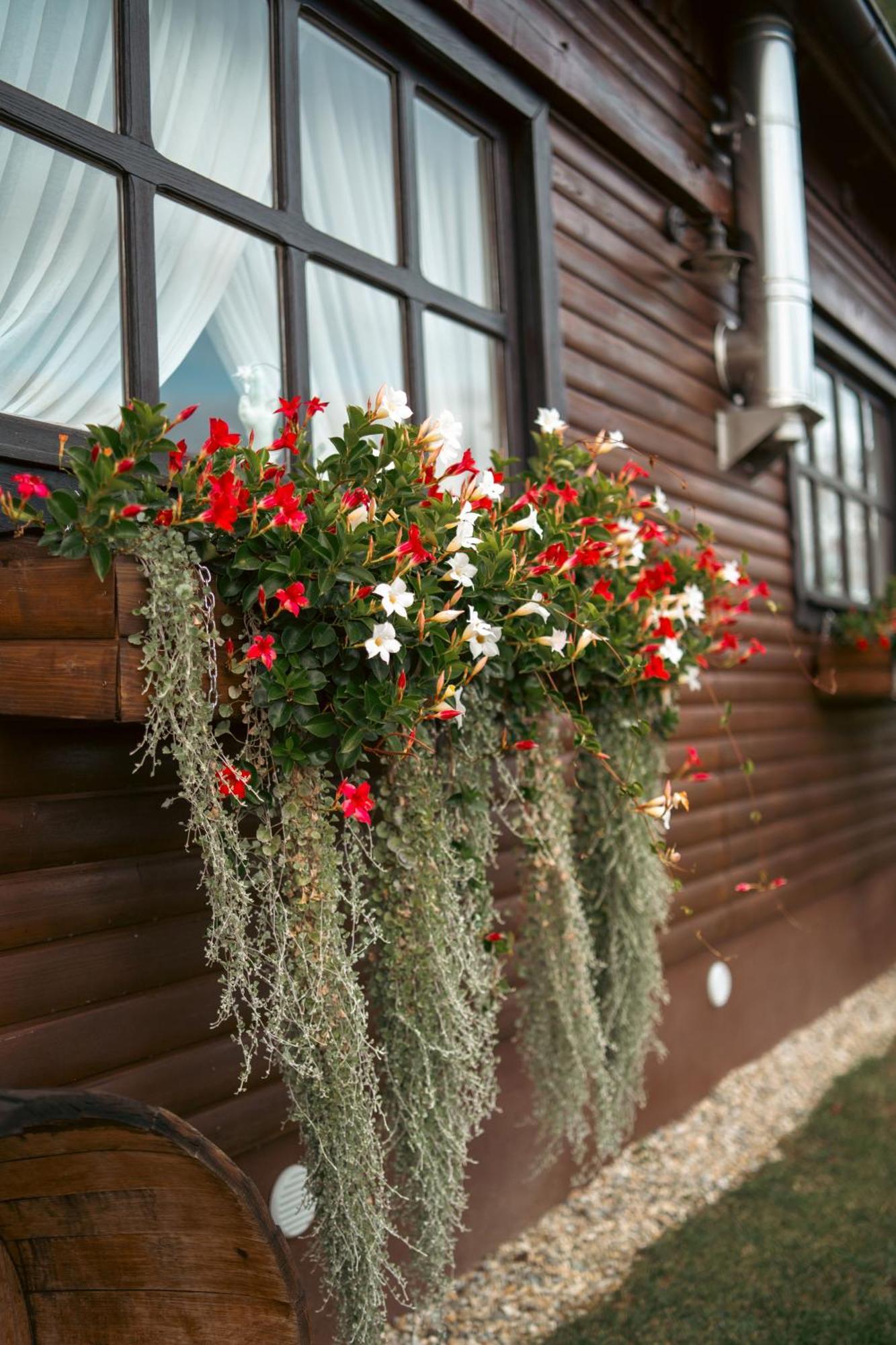 Grabrovnik Holiday Home Hygge Nova מראה חיצוני תמונה